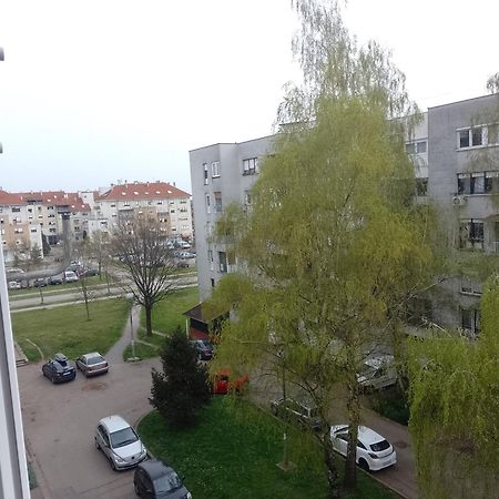 Apartman Ciblja Lejlighed Velika Gorica Eksteriør billede